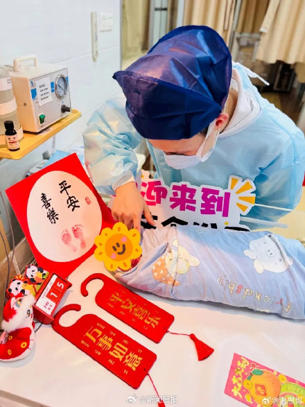 运动会跳水, 一米板金牌, 世界杯 运动会跳水, 一米板金牌, 世界杯